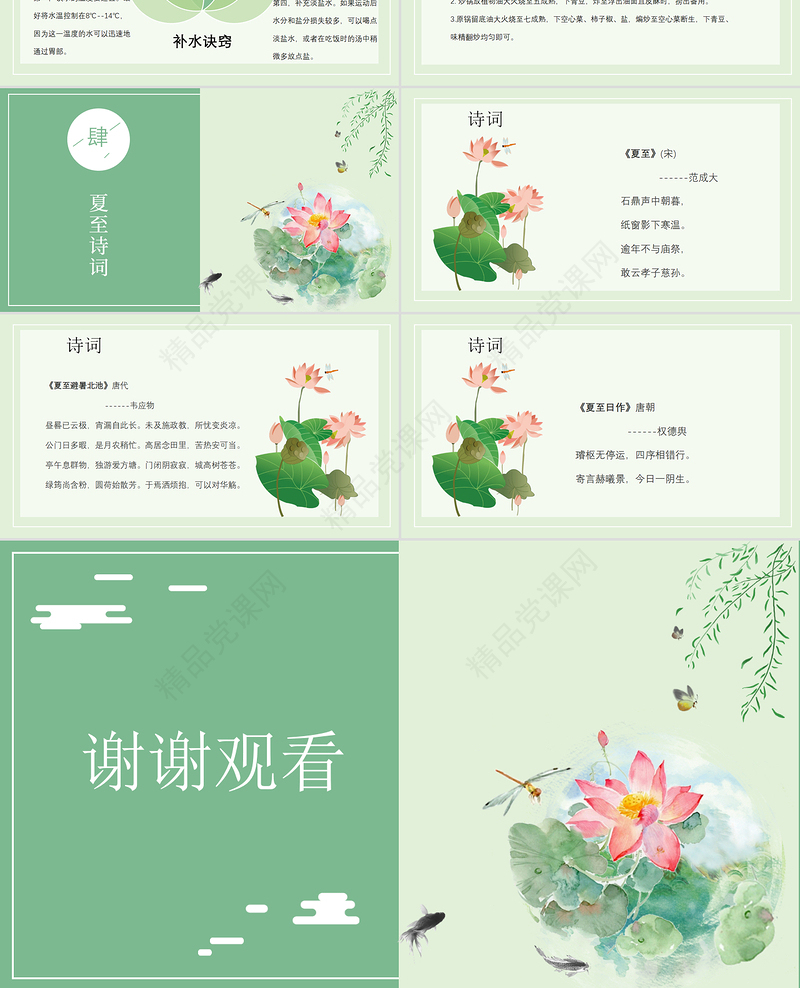 年最新传统节气之夏至PPT模板