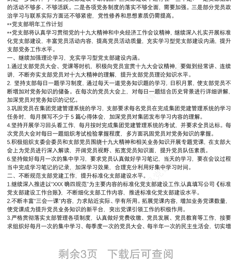 XX公司党支部20xx年工作计划