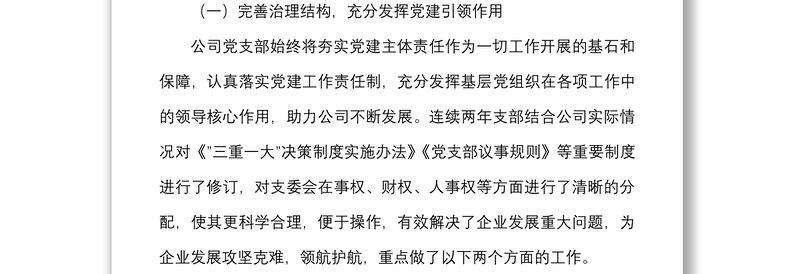 公司党支部换届工作报告范文三年工作汇报总结集团国有企业国企