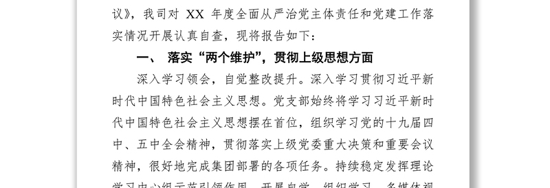 XX公司全面从严治党主体责任和党建工作落实情况检查自查报告