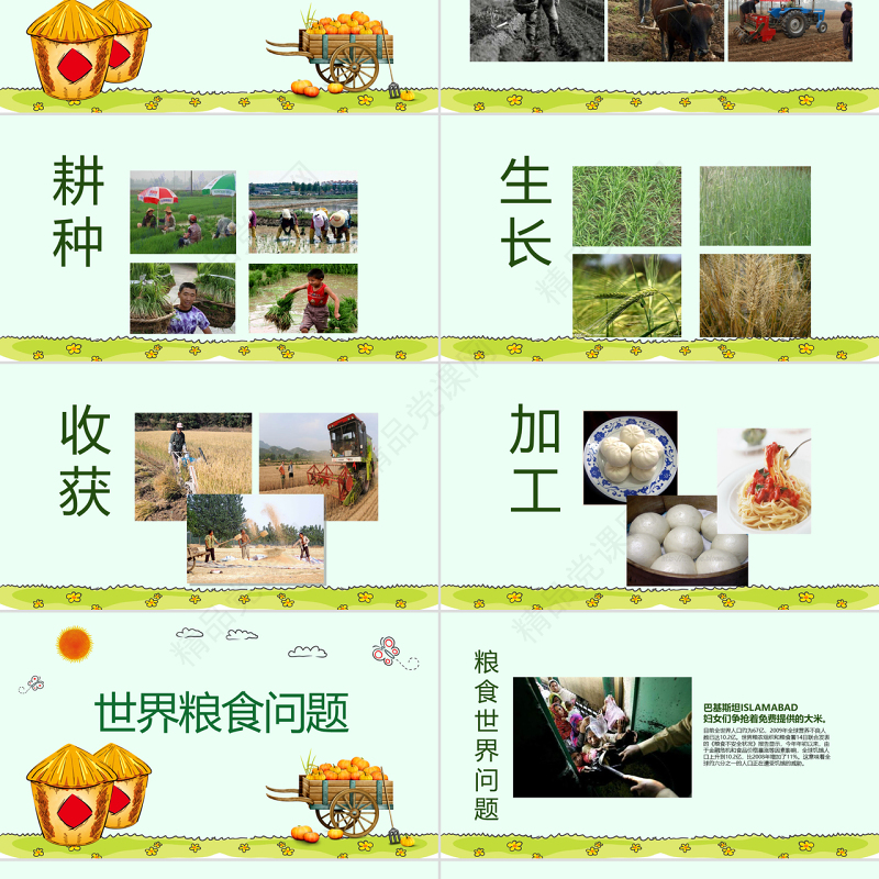 原创珍爱粮食拒绝浪费主题班会PPT模板-版权可商用
