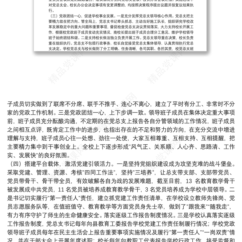 学校党总支贯彻执行党组织领导下的校长负责制情况自查报告