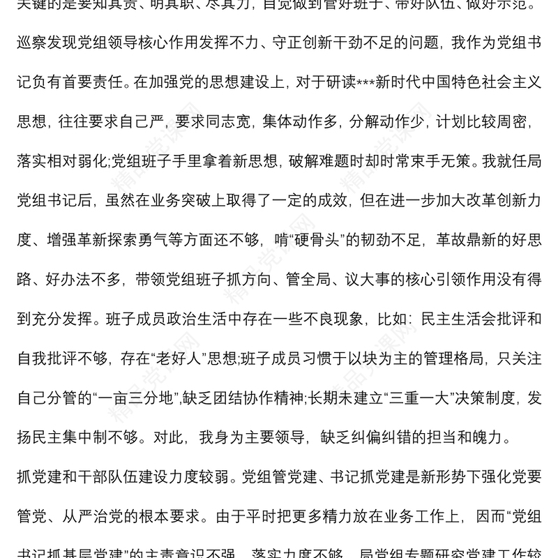 书记巡察整改专题民主生活会个人对照检查材料