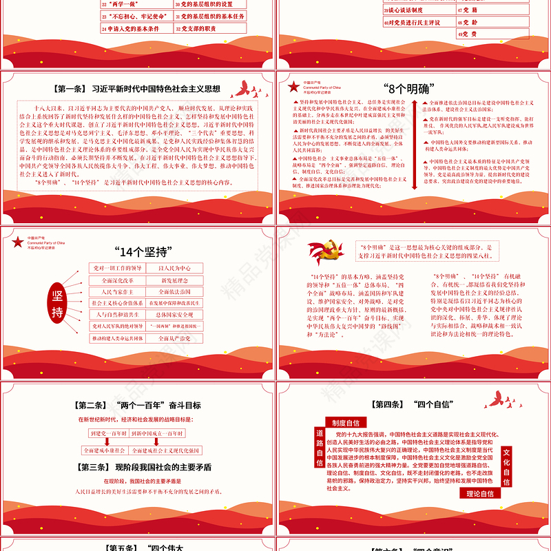 党员学习手册PPT党员基层党组织党务党建知识学习党课模板