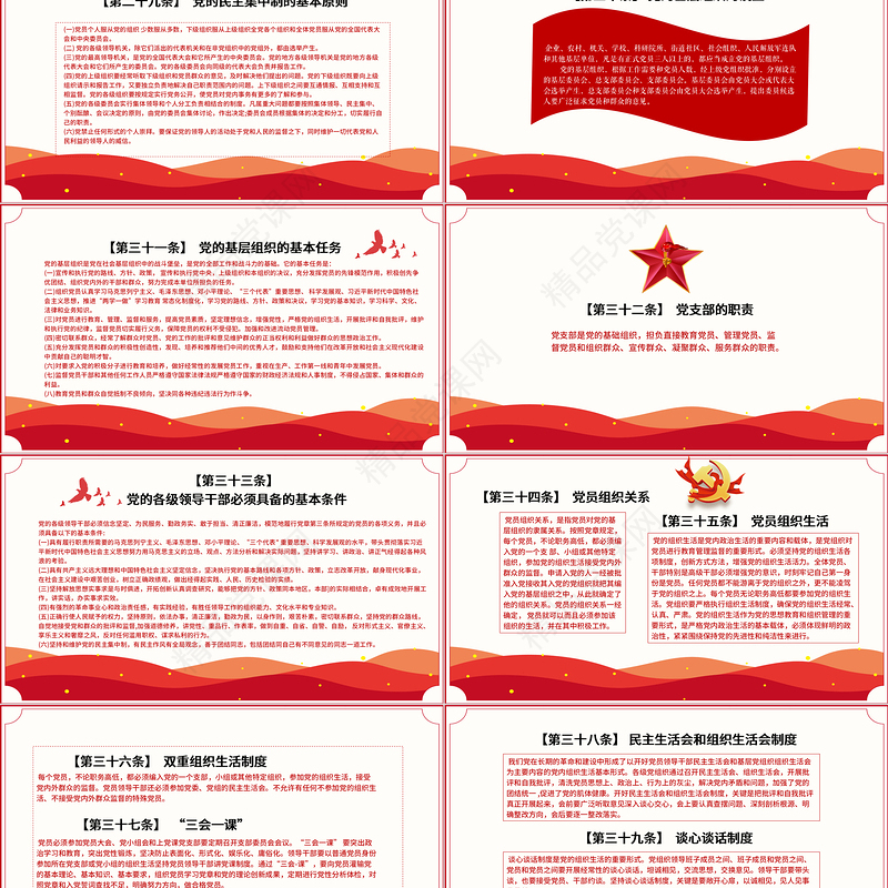 党员学习手册PPT党员基层党组织党务党建知识学习党课模板