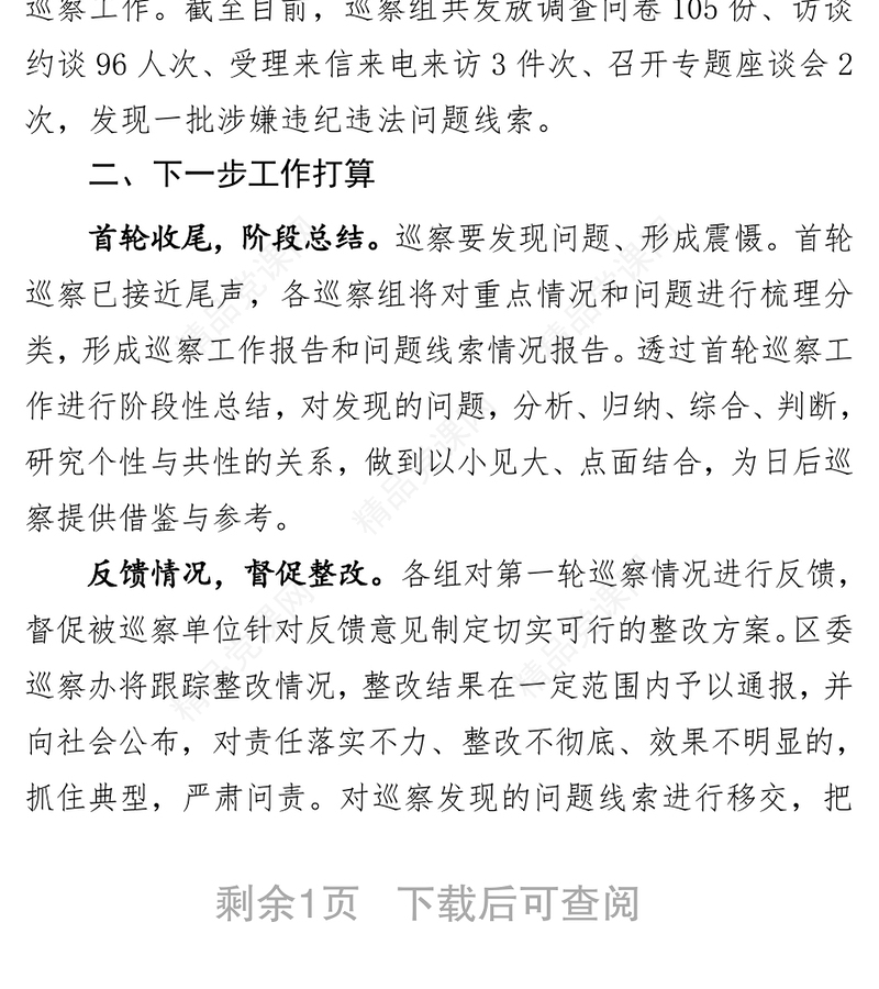 巡察工作开展情况汇报