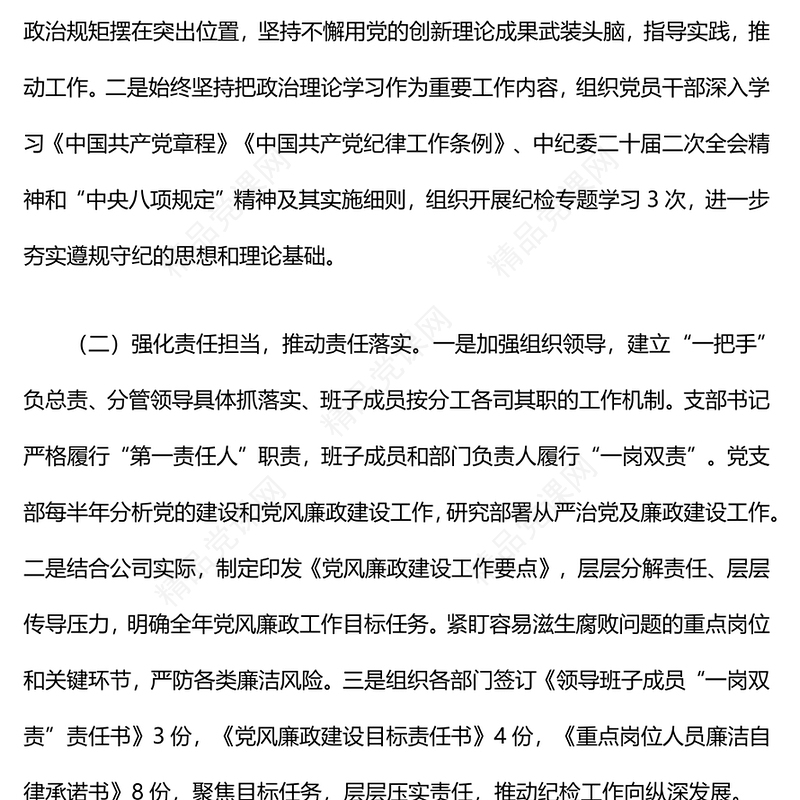 2024年度纪检工作总结模板