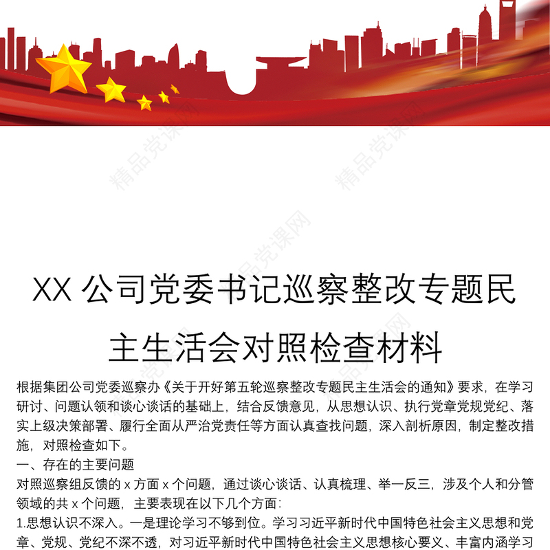 XX公司党委书记巡察整改专题民主生活会对照检查材料