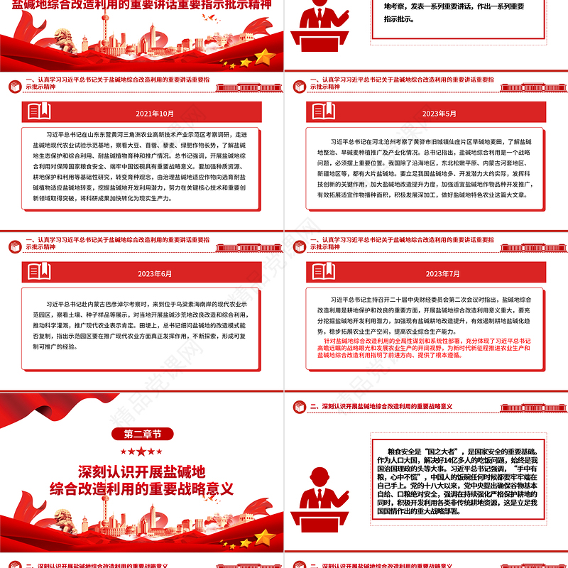 加大推进盐碱地综合改造利用力度ppt红色简洁风着力夯实国家粮食安全的资源基础党组织党支部专题党课教育课件