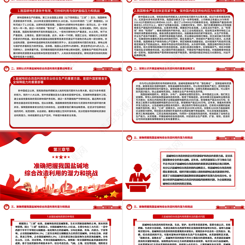 加大推进盐碱地综合改造利用力度ppt红色简洁风着力夯实国家粮食安全的资源基础党组织党支部专题党课教育课件