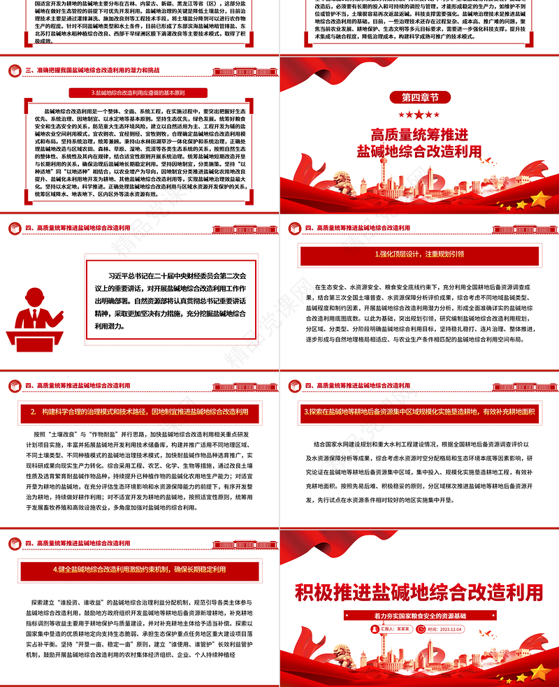 加大推进盐碱地综合改造利用力度ppt红色简洁风着力夯实国家粮食安全的资源基础党组织党支部专题党课教育课件
