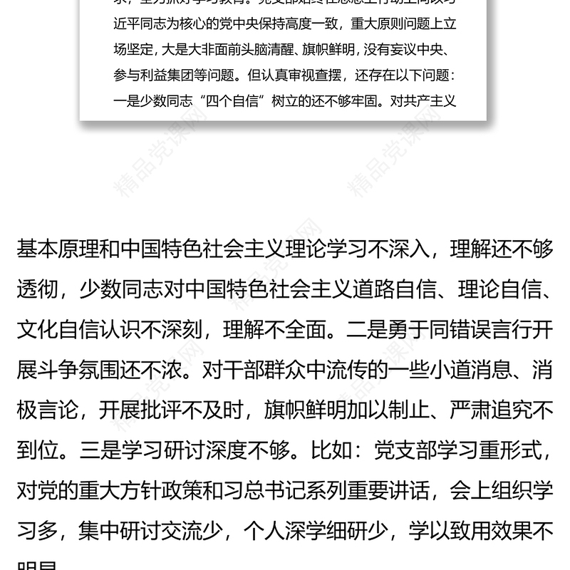 党支部2019年主题教育专题组织生活会班子检视问题清单及整改措施2篇