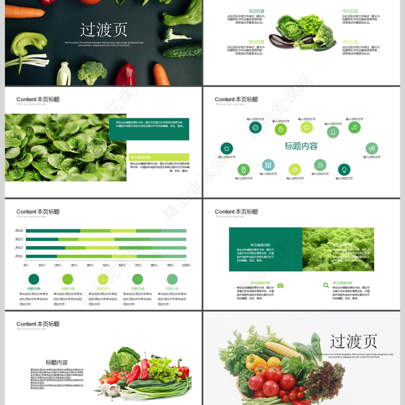 健康饮食食物营养搭配PPT模板