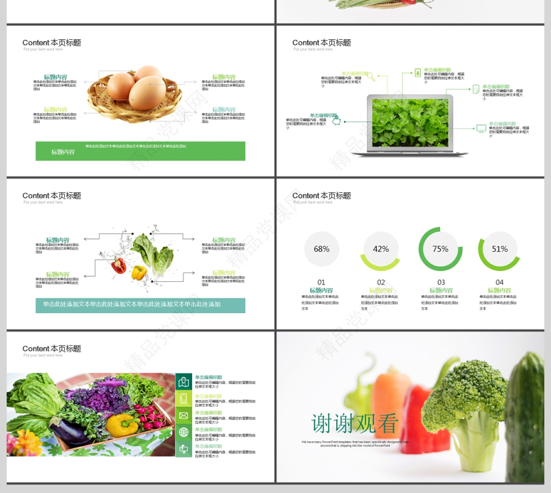 健康饮食食物营养搭配PPT模板