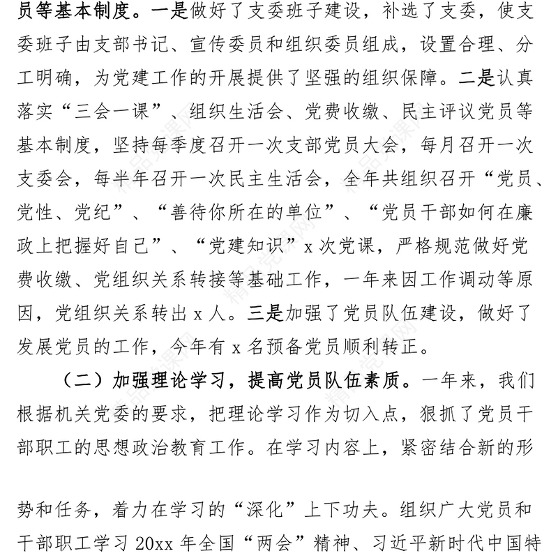 支部党建工作报告问题整改措施总结汇报