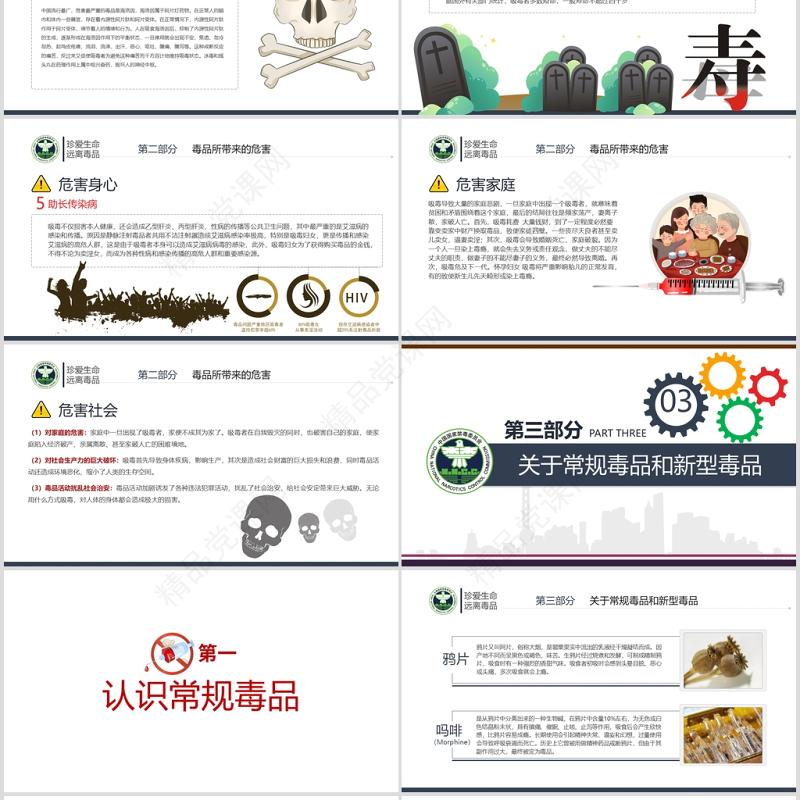 国际禁毒日珍爱生命远离毒品禁毒拒毒教育通用模板