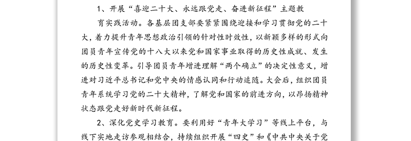 年度公司共青团工作意见