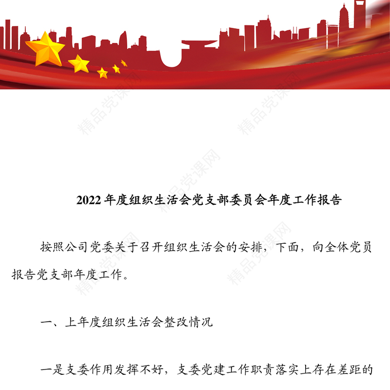 年度组织生活会党支部委员会年度工作报告