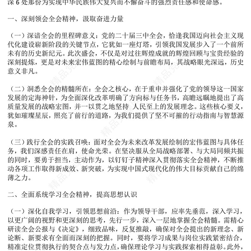 副职学习二十届三中全会精神心得体会word模板