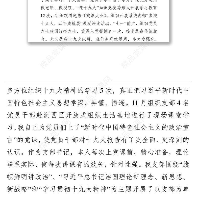 x公司党组织支部书记抓基层党建工作述职报告