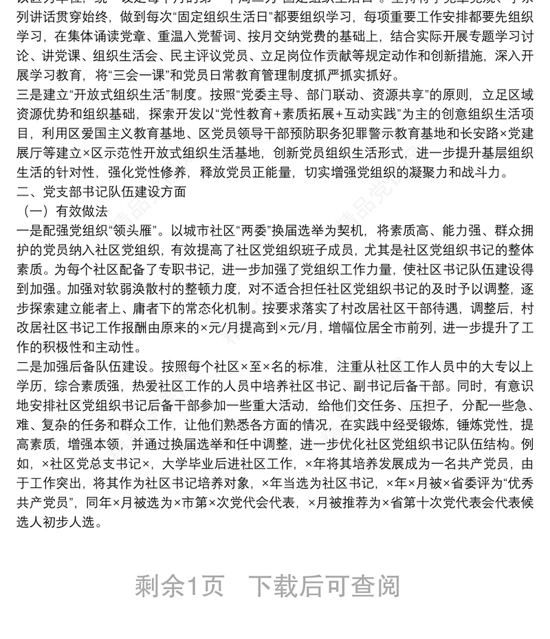 X区党支部战斗堡垒作用发挥和党支部书记队伍建设情况汇报