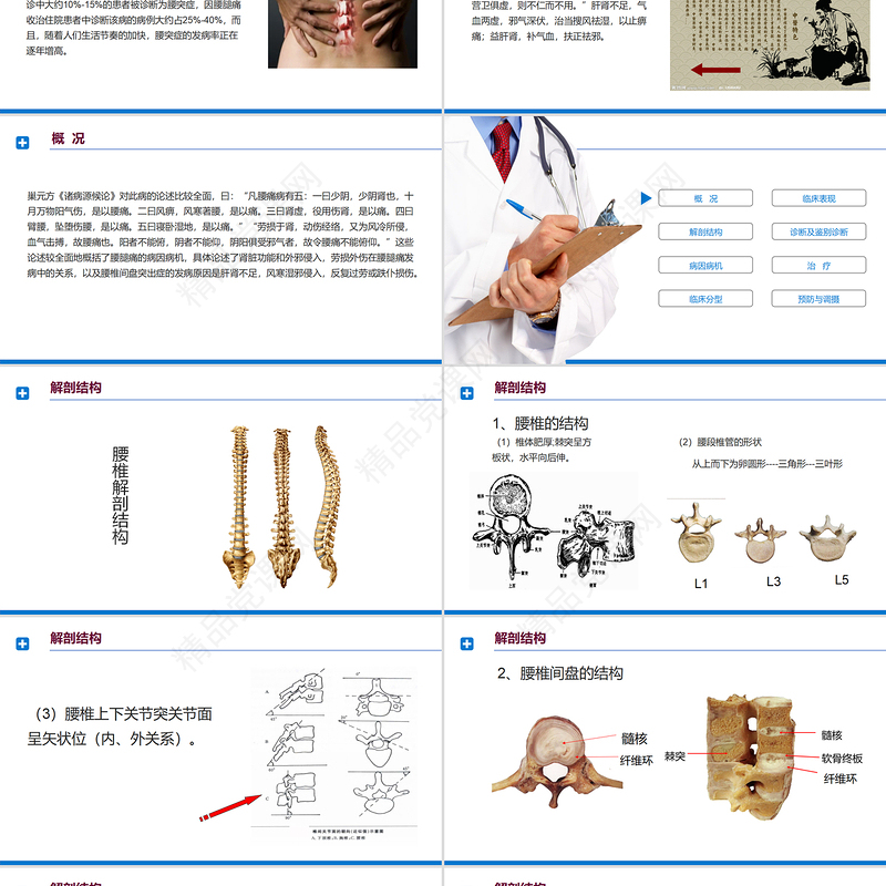 腰椎间盘突出症诊断与治疗PPT清新商务医疗风医学通用PPT模板