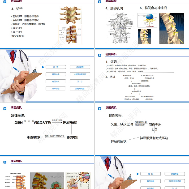腰椎间盘突出症诊断与治疗PPT清新商务医疗风医学通用PPT模板