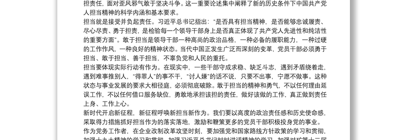 年书记讲党课优秀讲稿勇担当善作为努力奋进新时代（）