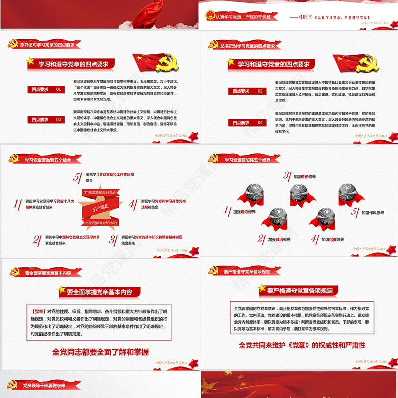 中国共产党章程（2012年修改版本）党章党规学习解读PPT模板幻灯片