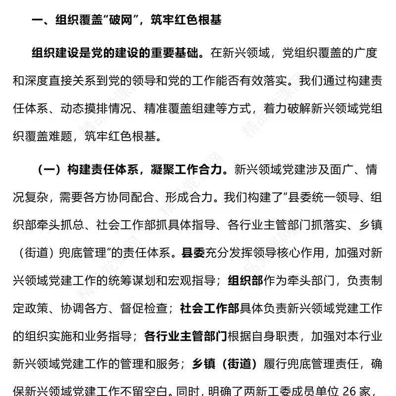 党政风新兴领域党建工作汇报PPT模板下载(讲稿)