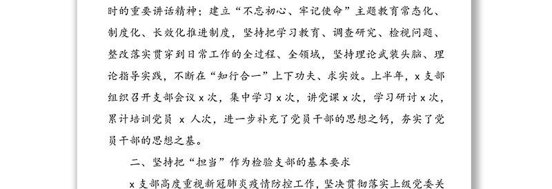 年上半年党支部党建工作总结汇报报告