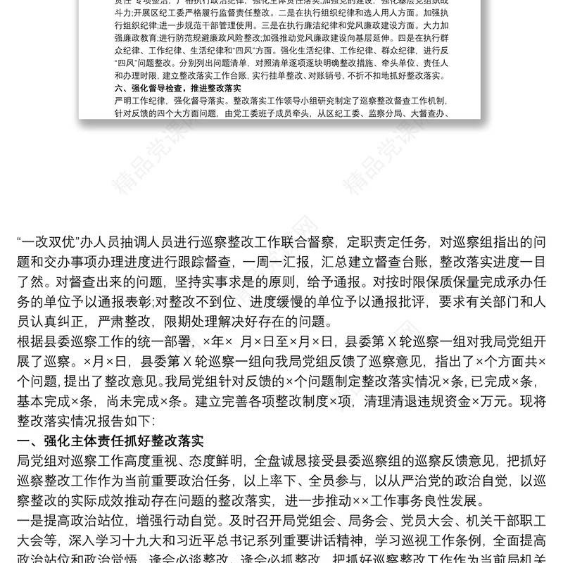 主要负责人关于组织落实巡察反馈意见整改情况的报告