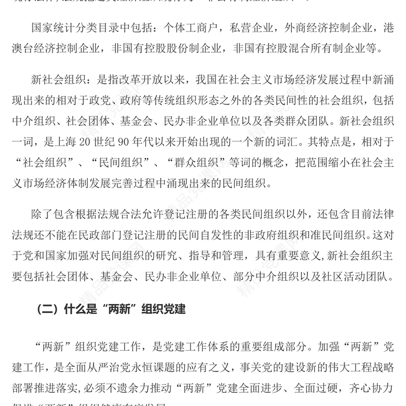2023两新组织的定义与职责PPT精美简约党建知识微课堂党课课件(讲稿)