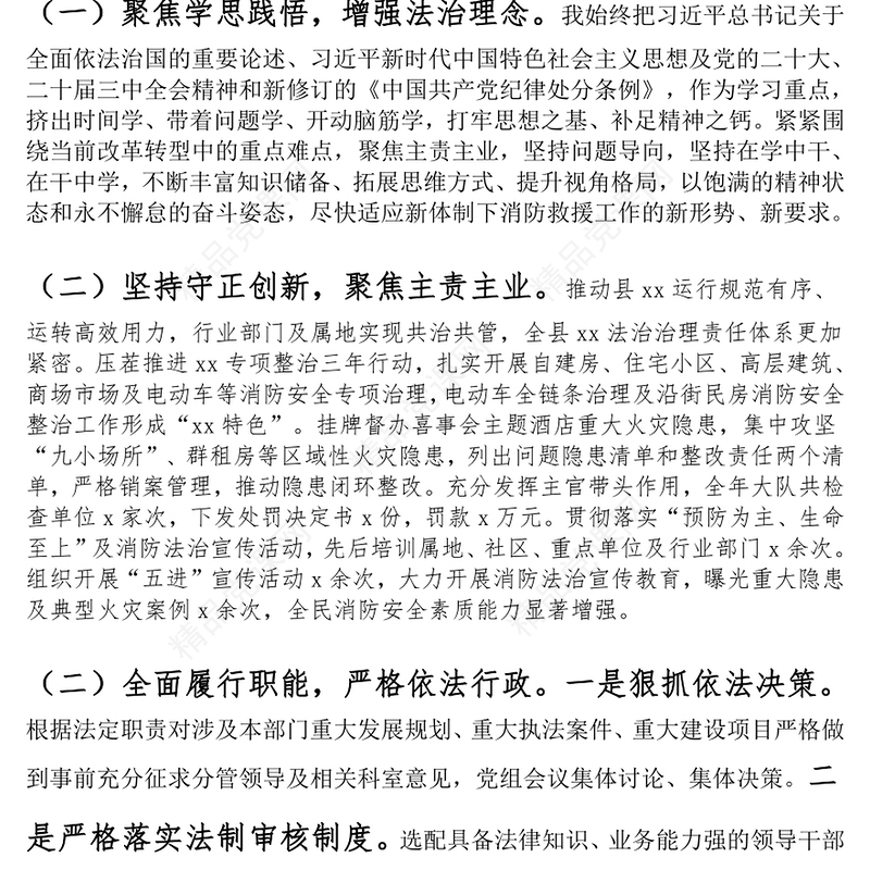 2024年主要负责人个人述法报告范文下载