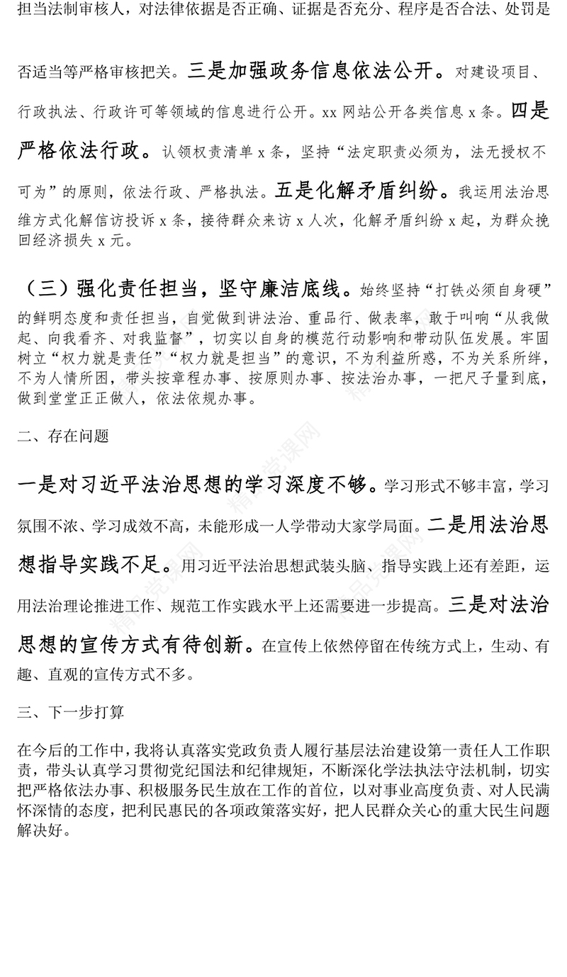 2024年主要负责人个人述法报告范文下载