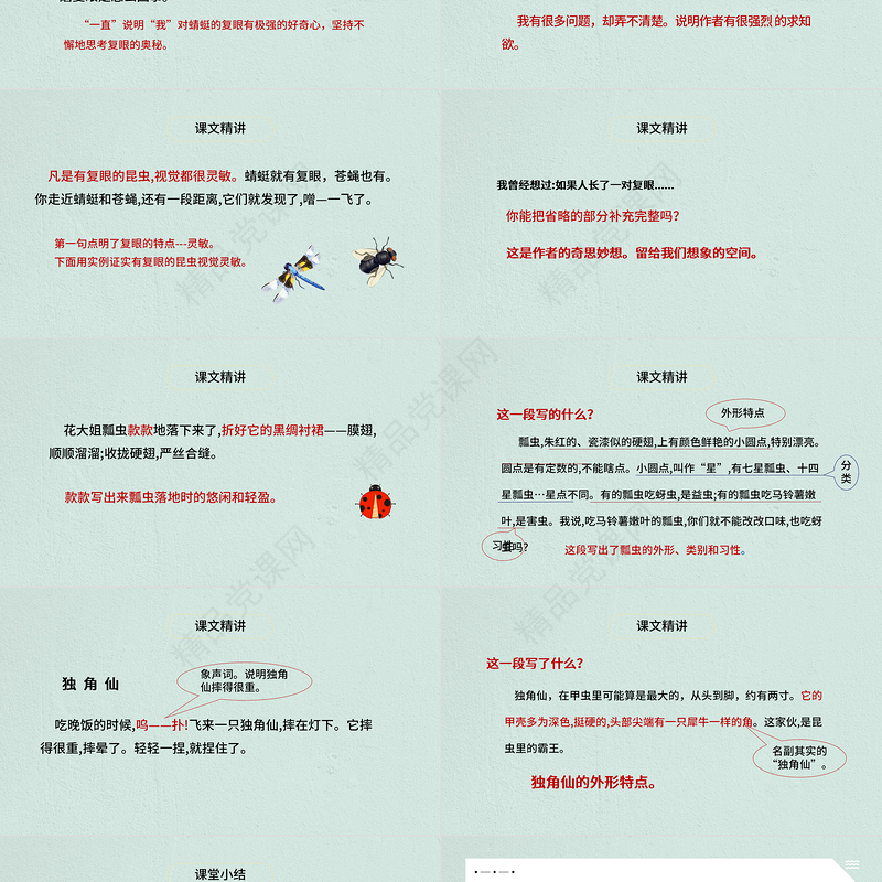 2022昆虫备忘录PPT第4课小学三年级语文下册部编人教版教学课件