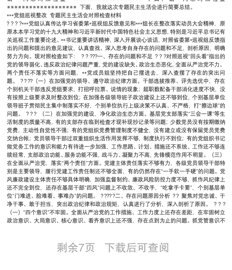 党组巡视整改民主生活会全套材料