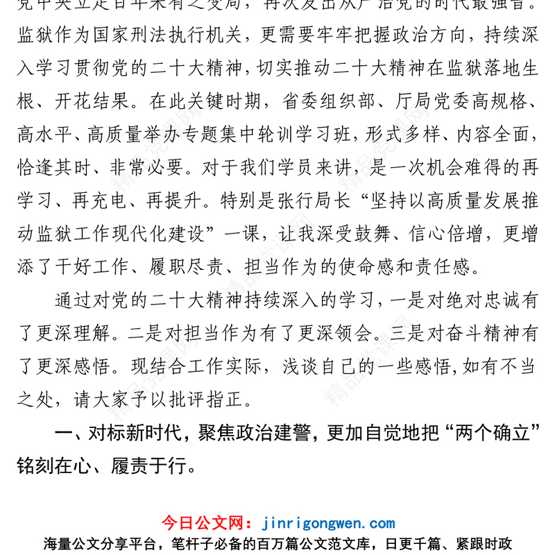 踔厉奋发落实党的二十大精神守正创新推进监狱高质量发展发言提纲
