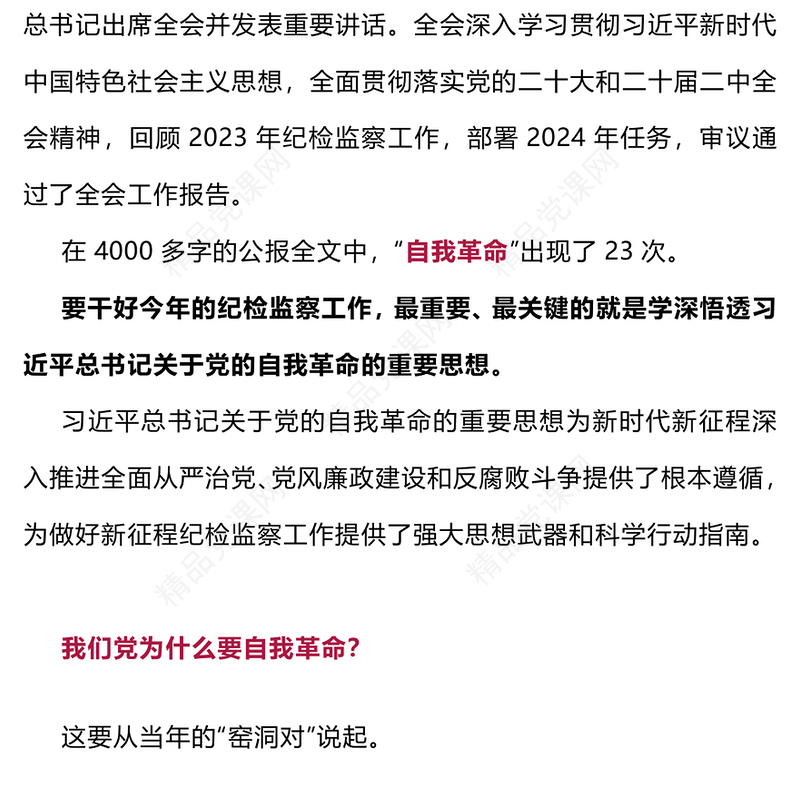 持之以恒正风肃纪反腐PPT党政风二十届中央纪委三次会议党的自我革命党课(讲稿)