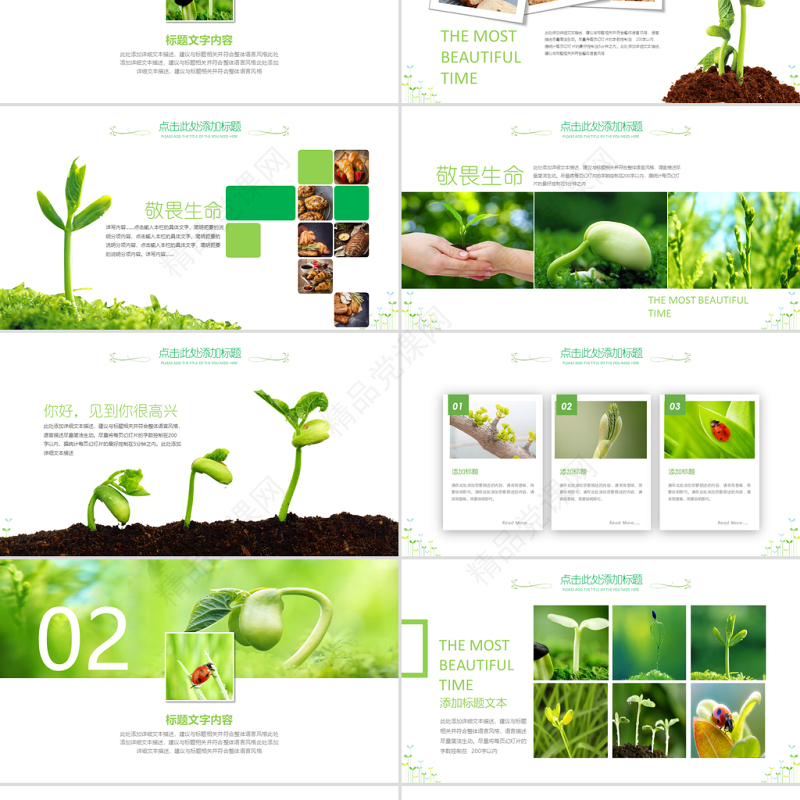 原创开场视频小树苗生长发芽成长春天ppt模板-版权可商用