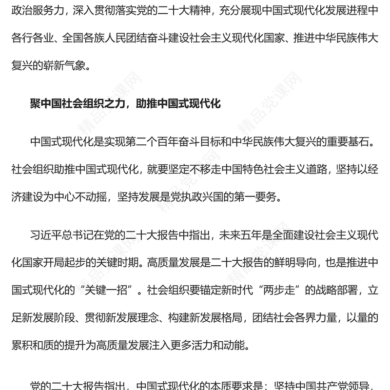 2022中国社会组织奋力推进中国式现代化PPT红色党政风深入贯彻落实党的二十大精神专题党课党建课件(讲稿)