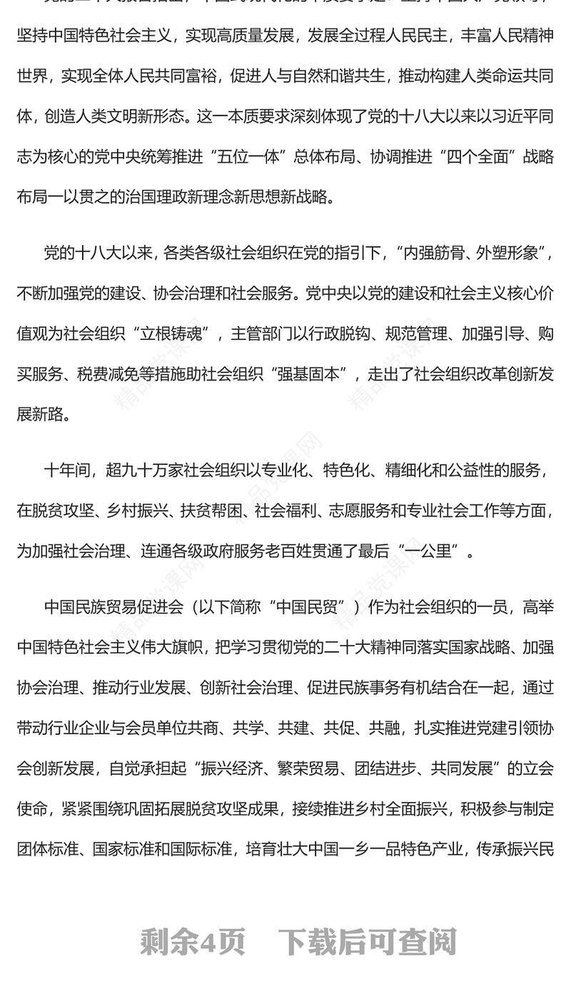 2022中国社会组织奋力推进中国式现代化PPT红色党政风深入贯彻落实党的二十大精神专题党课党建课件(讲稿)