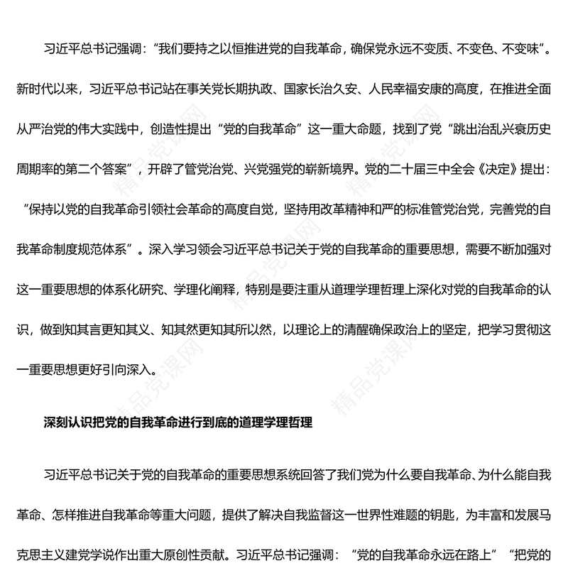 2024极简风从道理学理哲理上深化对党的自我革命的认识ppt主题党课课件(讲稿)