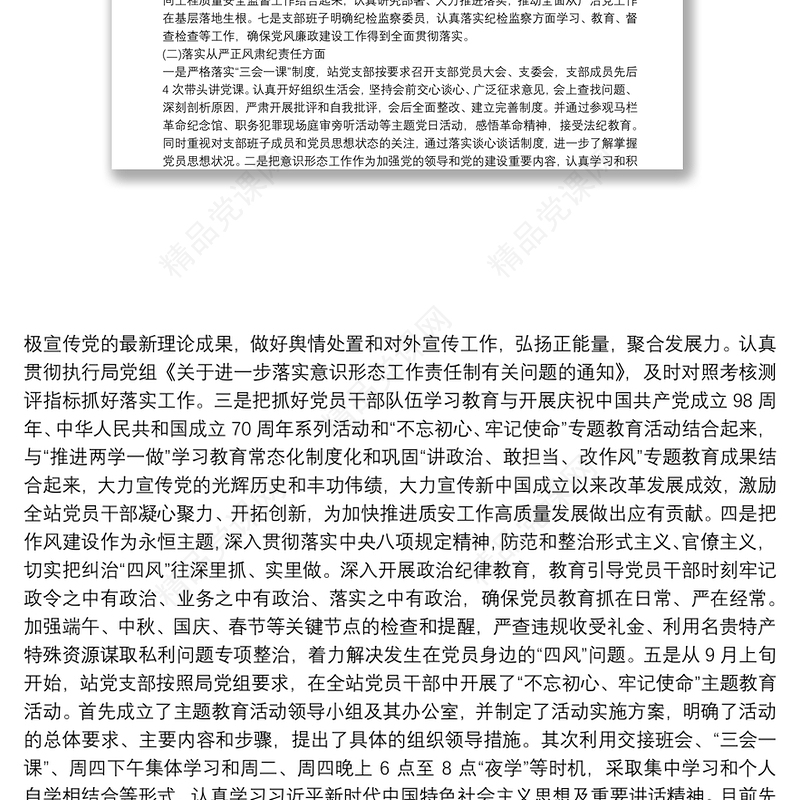 党支部落实全面从严治党主体责任报告