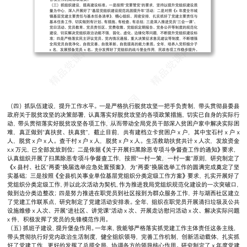 X县民政局党总支书记20**年抓基层党建工作述职报告