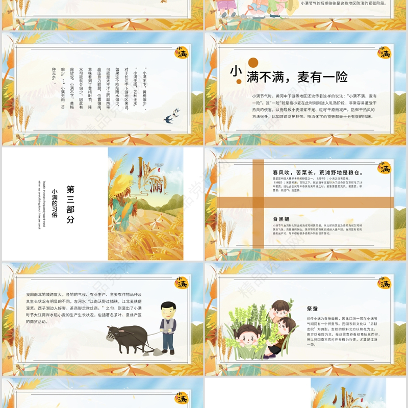 简约麦穗二十四节气之小满ppt模板