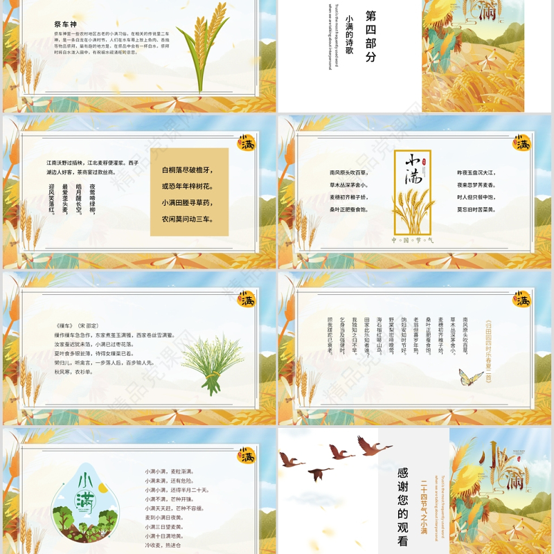 简约麦穗二十四节气之小满ppt模板