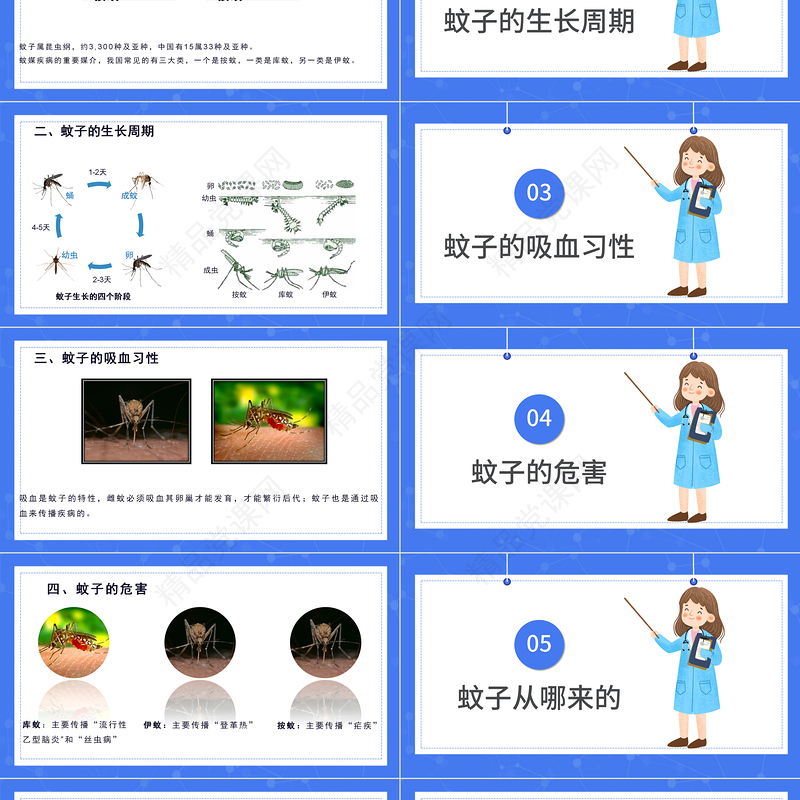 医疗预防登革热防蚊灭蚊主题班会PPT清新创意医疗主题班会通用PPT模板下载