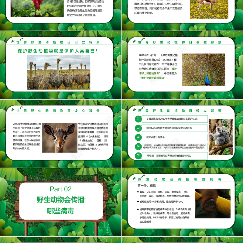 保护野生动植物PPT卡通简约风世界野生动植物日知识介绍课件模板
