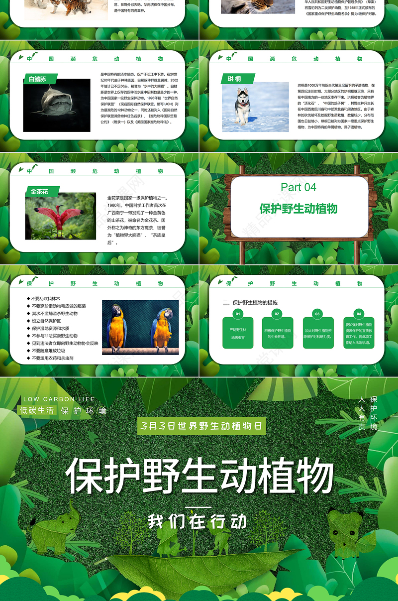 保护野生动植物PPT卡通简约风世界野生动植物日知识介绍课件模板